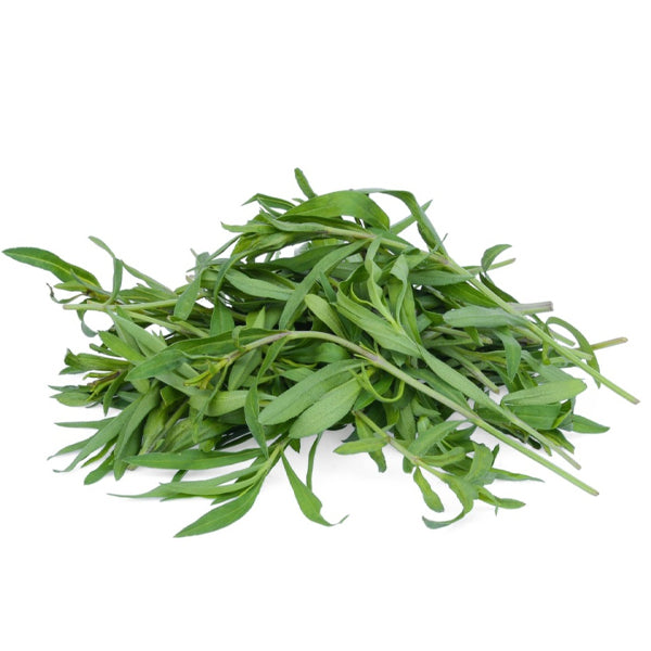 Air Flown Fresh French Tarragon 20g