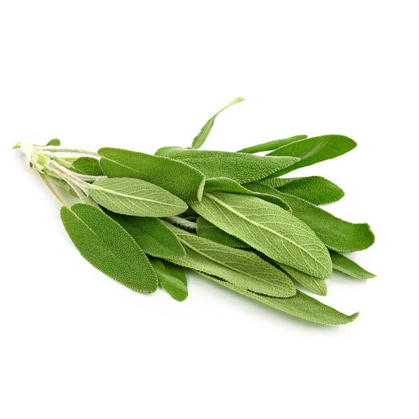Air Flown Fresh Sage 20g