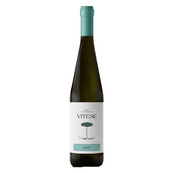 Colomba Bianca - Lucido Sicilia Vitese DOC 2020