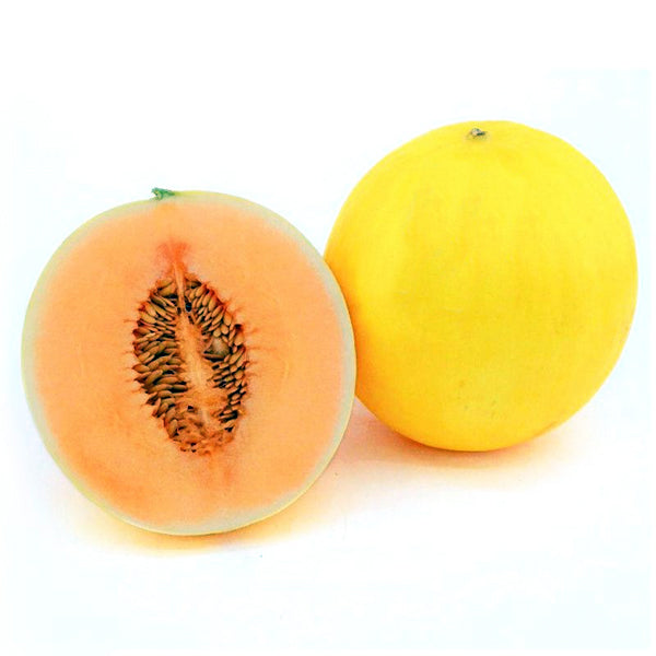 Air Flown Fresh Honey Sweet Candy Melon