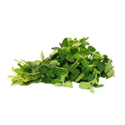 Air Flown Fresh Oregano 20g