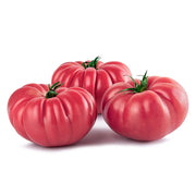 Air Flown Fresh Pink Heirloom Tomatoes
