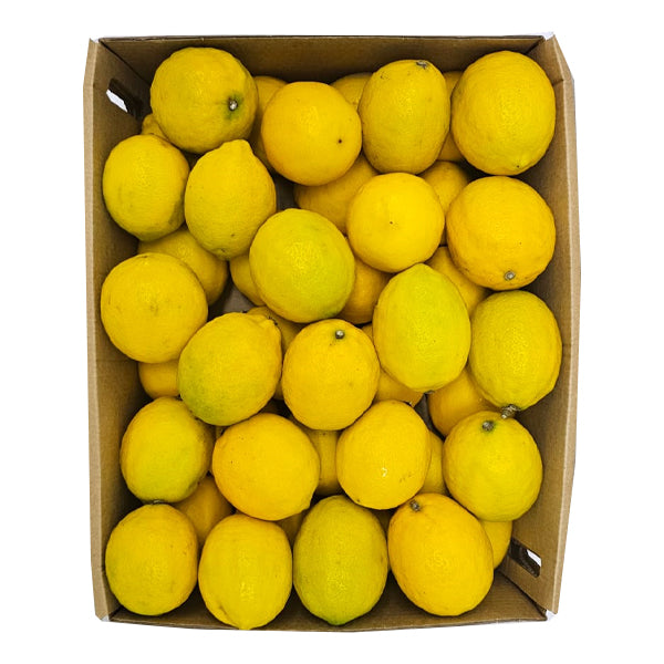 Air Flown Fresh Lamas Lemons 5kg Carton