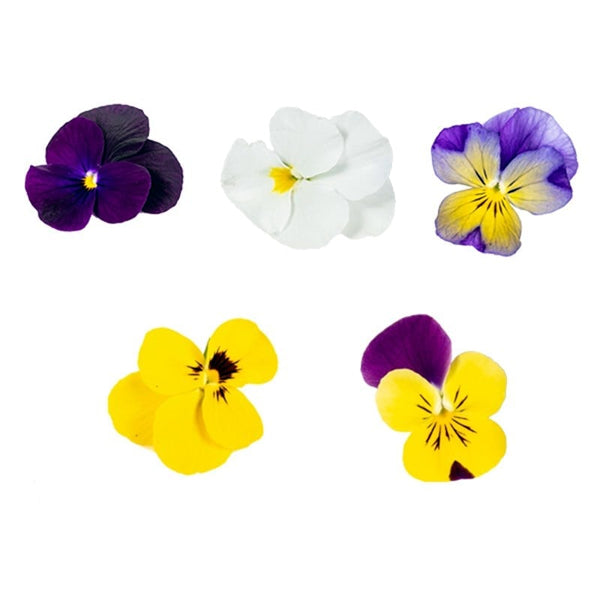 Air Flown Fresh Edible Flowers 5g