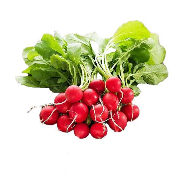 Air Flown Mini Red Radish 500g