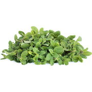 Air Flown Fresh Marjoram 20g
