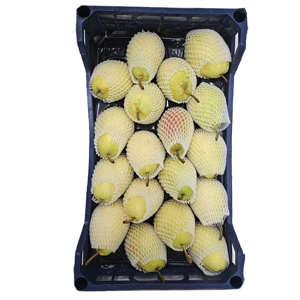 Air Flown Fresh Santa Maria Pears 3.5kg Carton