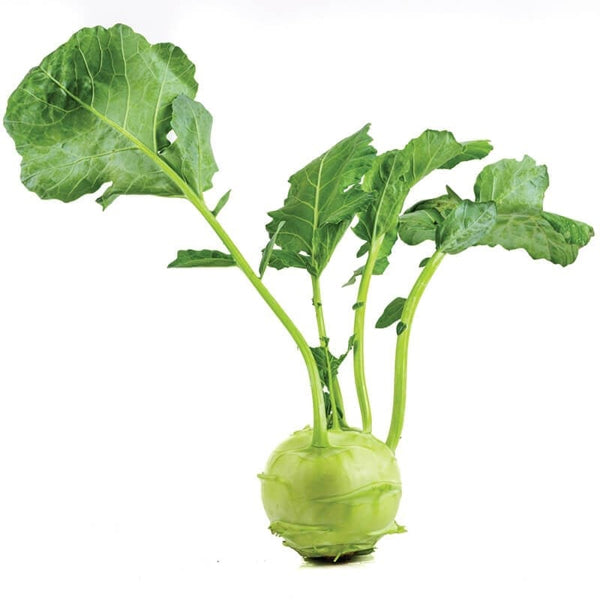 Air Flown Fresh Green Kohlrabi with Leaves 1pc