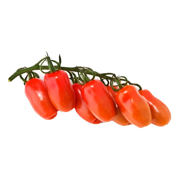 Air Flown Fresh Roma Tomatoes On Vine 500g