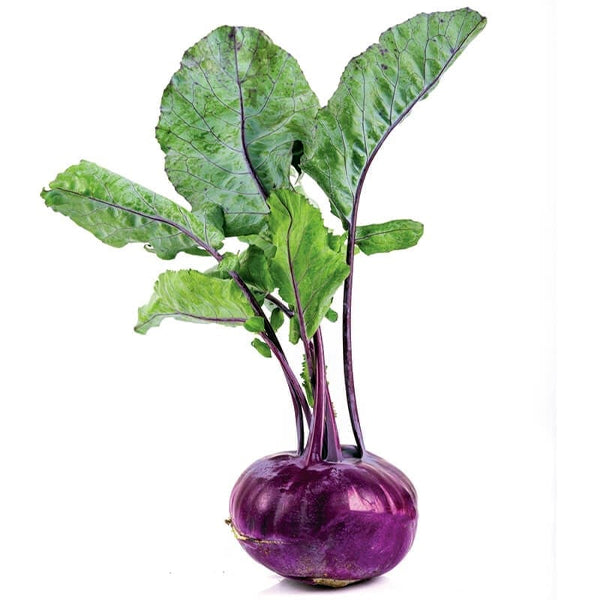 Air Flown Fresh Red Kohlrabi with Leaves 1pc