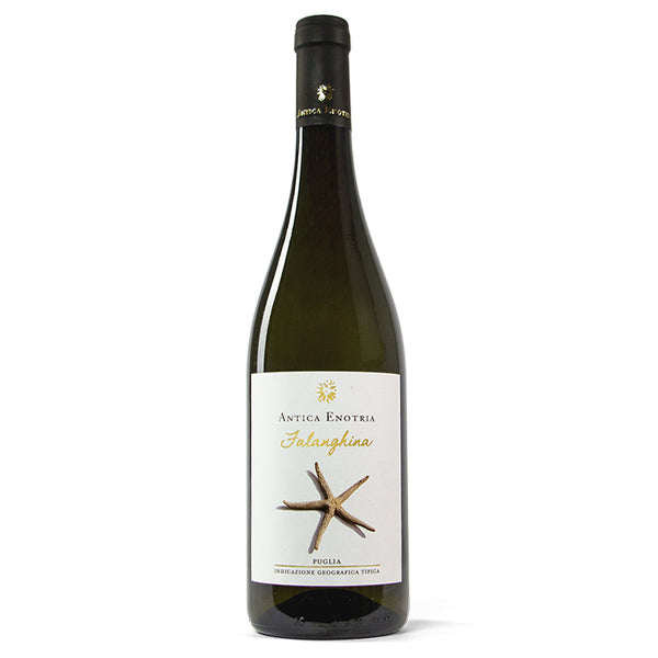 Antica Enotria Falanghina Bianco Puglia IGT 2021