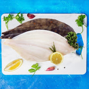 Frozen Mediterranean Plaice Fillet