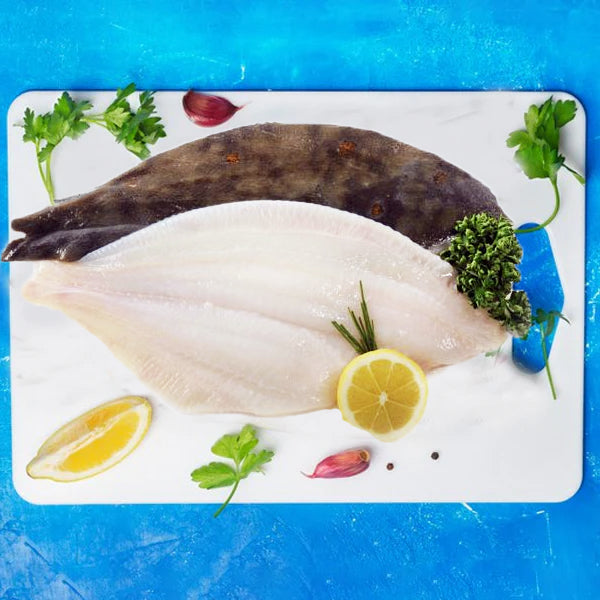 Frozen Mediterranean Plaice Fillet