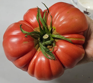 Air Flown Fresh Pink Heirloom Tomatoes Approx 550g
