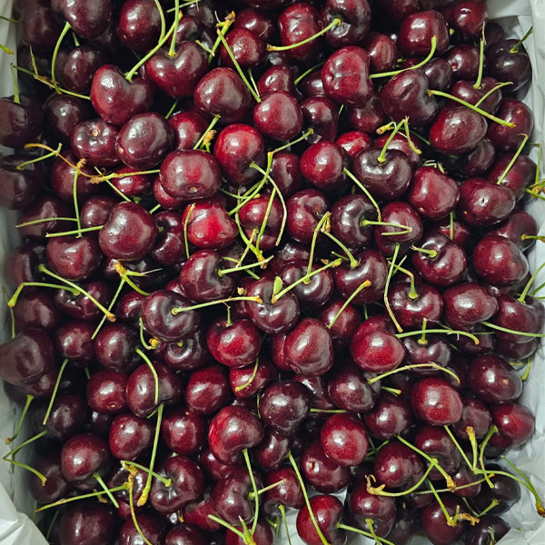 Air Flown Fresh Jumbo XXL Cherries 500g