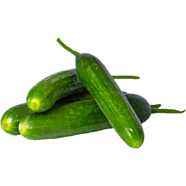 Air Flown Fresh Turkish Cucumbers 500g