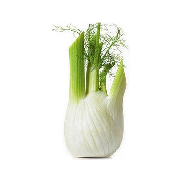 Air Flown Fresh Fennel (Rezene)