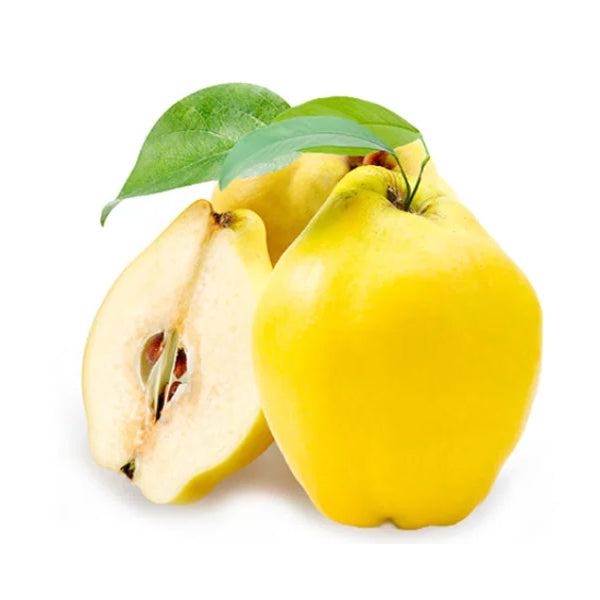 Air Flown Fresh Large Quince (Ekmek Type) 1pc