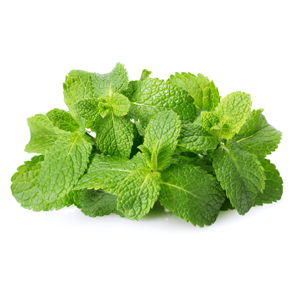 Air Flown Fresh Mint 125g