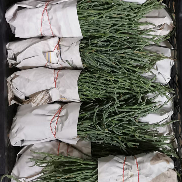 Air Flown Fresh Samphire Sea Asparagus (Sea Beans) 125g