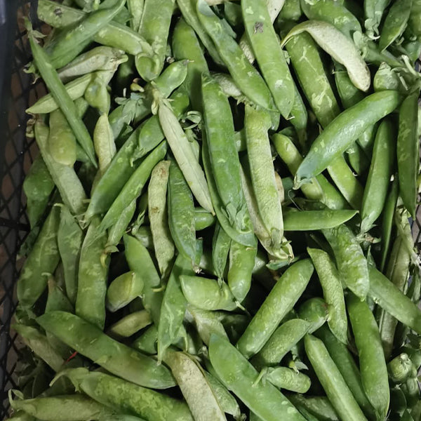 Air Flown Fresh Peas With Shell (Araka) 450g