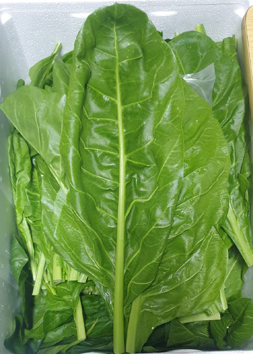 Air Flown Fresh Chard (Pazi Yapragi) 300g