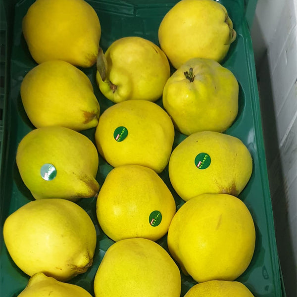 Air Flown Fresh Large Quince (Ekmek Type) 1pc