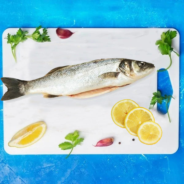 Frozen Mediterranean (Levrek) Seabass Whole Gutted
