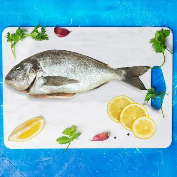 Frozen Mediterranean (Cipura) Seabream Whole Gutted