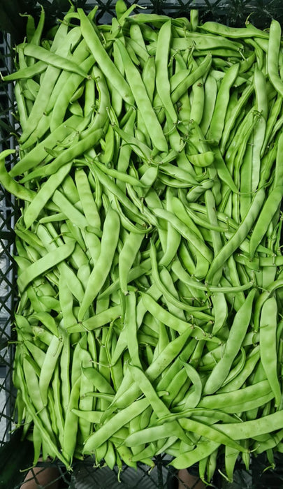 Air Flown Fresh Flat Beans (Fasulye) 500g