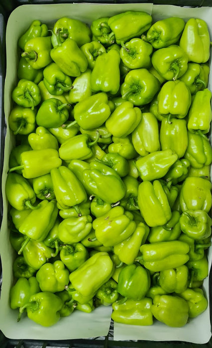 Air Flown Fresh Dolmalik Peppers 400g