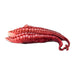 Spanish Octopus (Leg) Frozen - LeMed