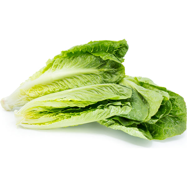 Air Flown Fresh Romaine Lettuce