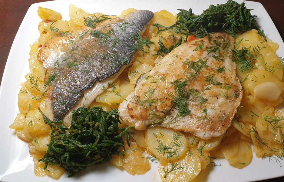 Frozen Mediterranean (Cipura) Seabream Fillet - Frozen