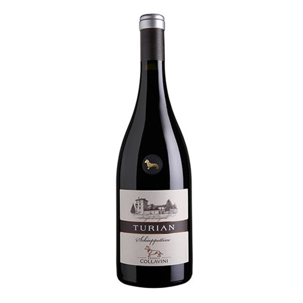 Eugenio Collavini-Schioppettino "Turian" DOC 2011 - LeMed