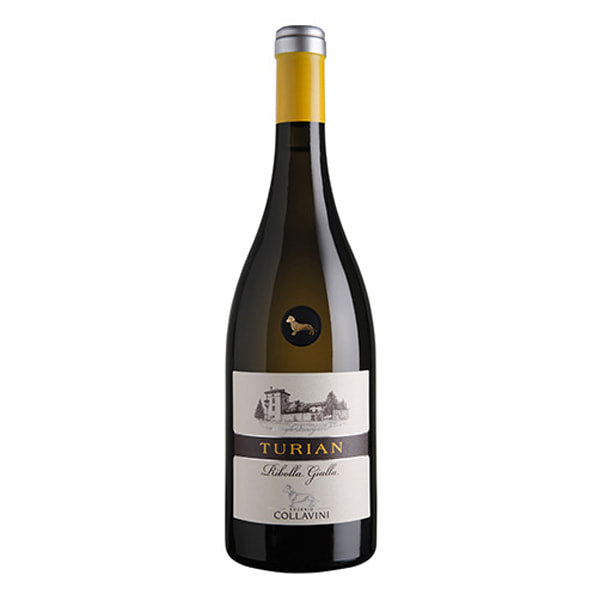 Eugenio Collavini-Ribolla Gialla "Turian" DOC 2016 - LeMed