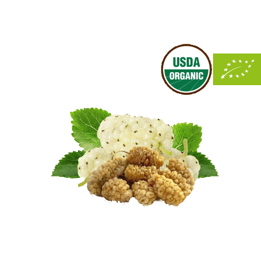 Organic Mulberries - LeMed
