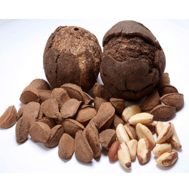 Brazil Nuts - LeMed