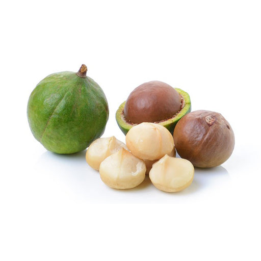 Macadamia - LeMed