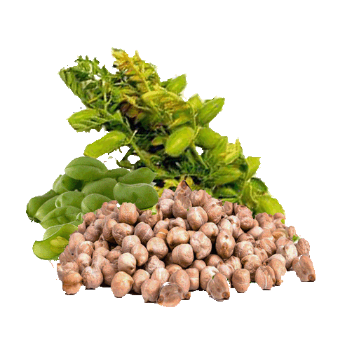 Roasted Chickpeas - LeMed