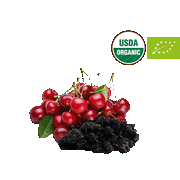 Organic Dried Pitted Sour Cherries - LeMed