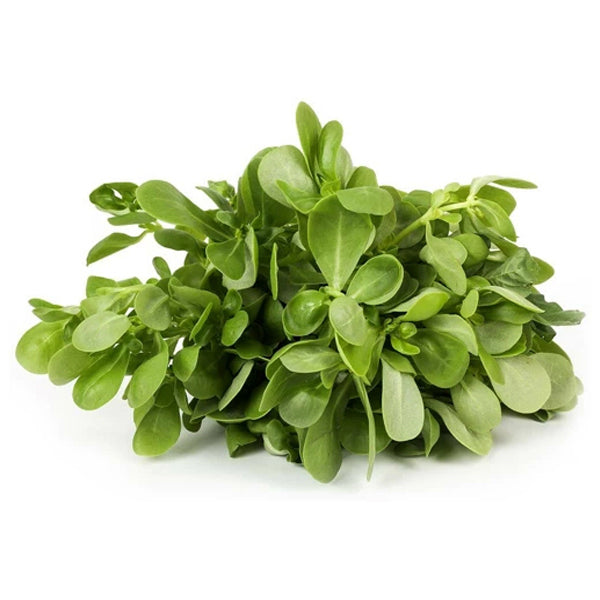 Air Flown Fresh Purslane 150g